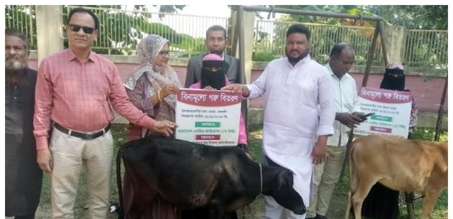 কিশোরগঞ্জের হোসেনপুরে UAPO’র উদ্যোগে অসহায় পরিবারের মাঝে বিনামূল্যে গরু বিতরণ