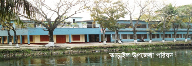 চার দশকেও তাড়াইল উপজেলা পরিষদ চত্বরে সীমানাপ্রাচীর নেই