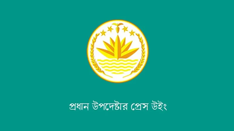 সংসদ নির্বাচন ও গণভোটে নজর রাখবে ১৬ দেশের পর্যবেক্ষক দল