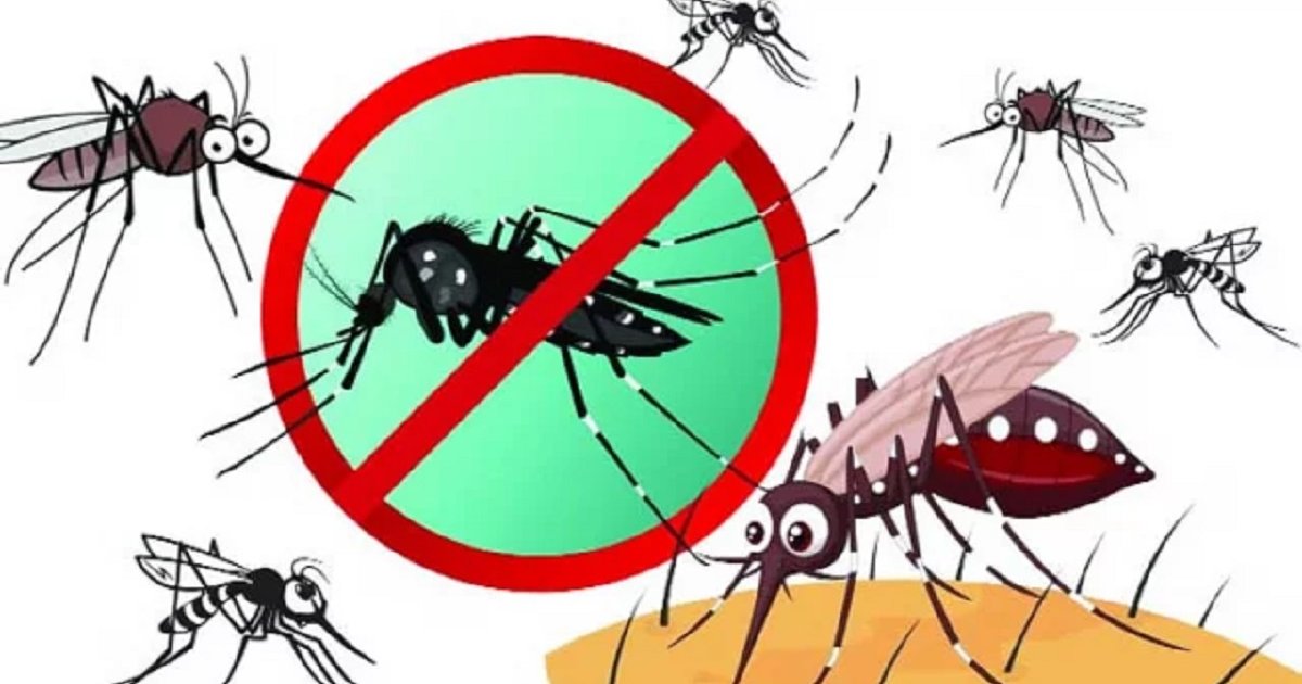 রাজধানীতে মশার উপদ্রব বিপৎসীমায়, ফেব্রুয়ারিতে বেড়েছে ৪০ শতাংশ