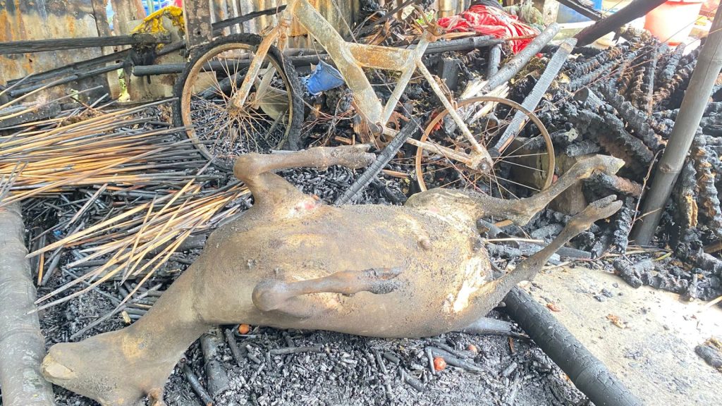 কিশোরগঞ্জে অগ্নিকাণ্ডে হতদরিদ্র পরিবারের ঘরবাড়ি ও পশু পুড়ে ছাই, ক্ষতি লক্ষাধিক