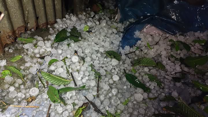 হোসেনপুরে শিলাবৃষ্টি ও ঝড়ো হাওয়ায় উঠতি বোরো ফসলের ক্ষতির আশঙ্কা