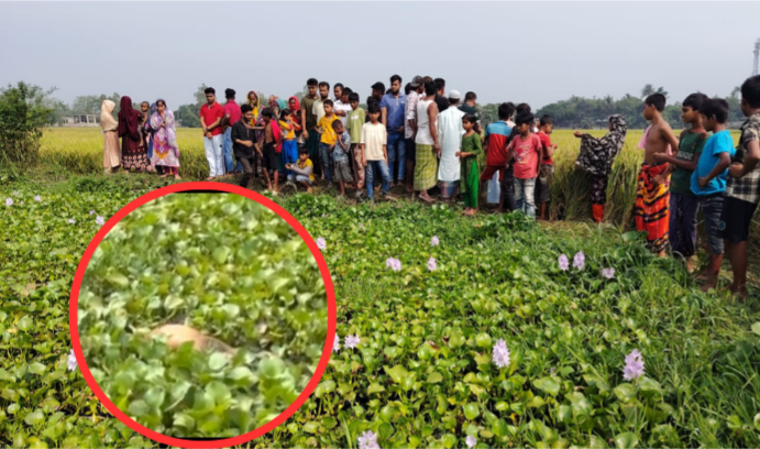 ভৈরবে বাবার হাতে ৭ মাসের সন্তান খুন, ডোবা থেকে মিলল মরদেহ