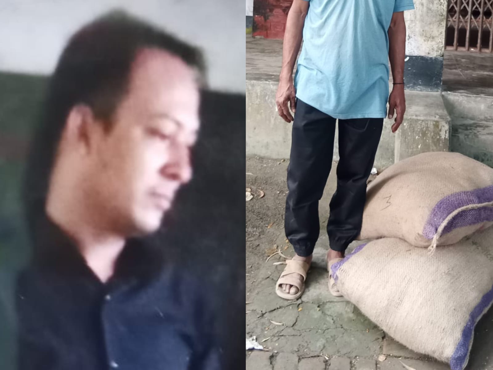 সরকারি বীজ খোলা বাজারে! করিমগঞ্জে ৮০ কেজি পাট বীজ জব্দ