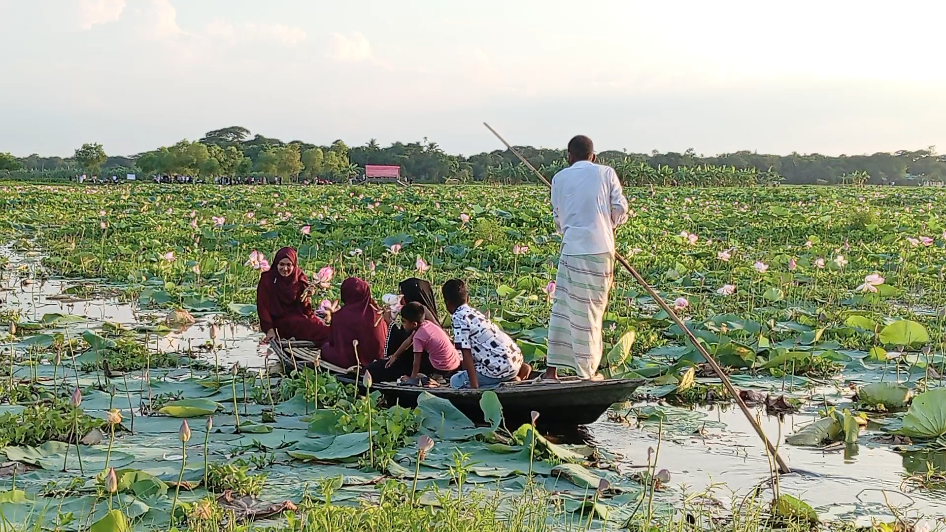 বর্ষায় পদ্মের স্বর্গরাজ্য সিঙ্গার বিল, ছুটছেন দূর-দূরান্তের মানুষ