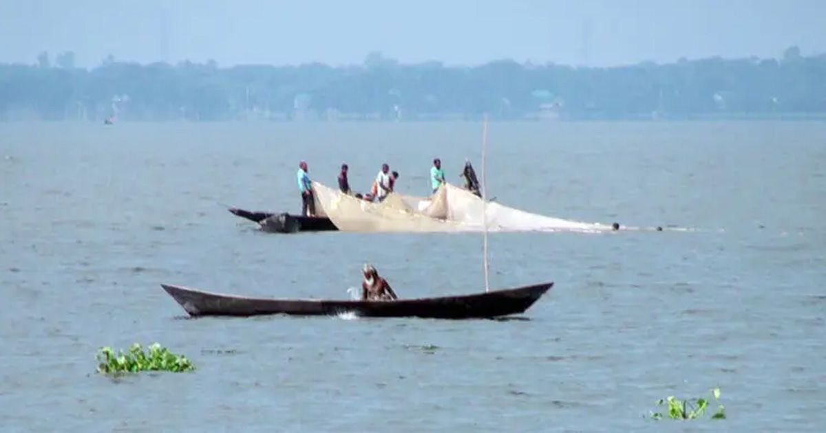 মাছের সংকটে কিশোরগঞ্জের হাওরের জেলেরা, বিলুপ্তির পথে দেশি প্রজাতি