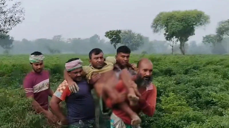 দৌলতপুর সীমান্তে বিএসএফের গুলিতে বাংলাদেশি কৃষক আহত